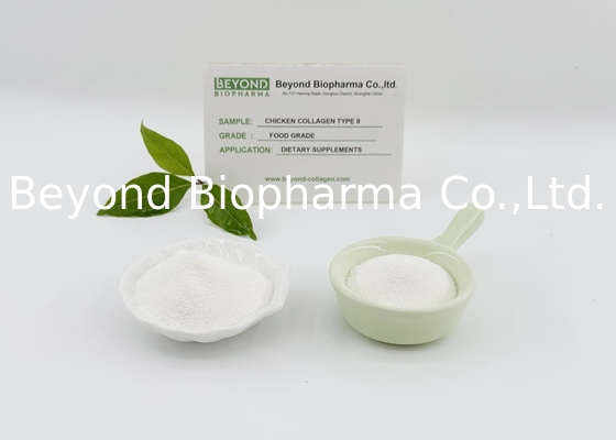 Collagen gà loại II là chất bổ sung thiết yếu để bảo vệ xương